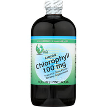 Load image into Gallery viewer, WORLD ORGANIC: Liquid Chlorophyll 100mg, 16 oz