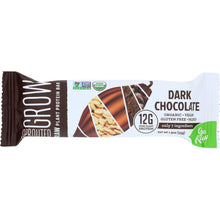 Load image into Gallery viewer, GO RAW: Dark Chocolate Protein Bar Organic, 1.9oz