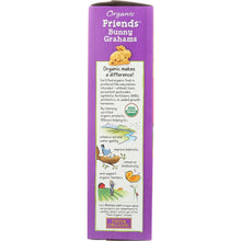 Load image into Gallery viewer, ANNIES HOMEGROWN: Friends Bunny Big Box Organic, 11.25 oz