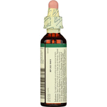 Load image into Gallery viewer, BACH ORIGINAL FLOWER REMEDIES: Holly, 0.7 oz