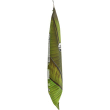 Load image into Gallery viewer, BARNANA: Acapulco Lime Plantain Chips 5 Oz