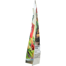 Load image into Gallery viewer, FRESH GOURMET: Focaccia Croutons Roasted Garlic 4.5 Oz