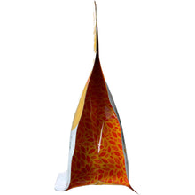 Load image into Gallery viewer, HUGO TEA COMPANY: Tea Black Iced Mango, 2.1 oz