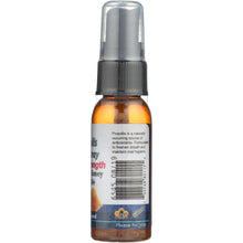 Load image into Gallery viewer, PRI: Propolis Oral Spray, 1 oz