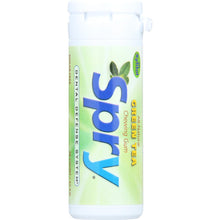 Load image into Gallery viewer, SPRY: Chewing Gum Green Tea, 30 Pieces