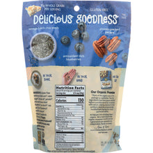 Load image into Gallery viewer, NATURES PATH: Blueberry Pecan with Chia Granola, 11 oz